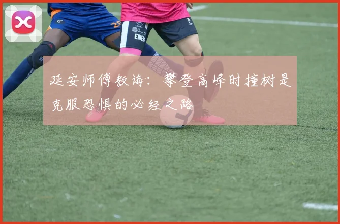 延安师傅教诲：攀登高峰时撞树是克服恐惧的必经之路